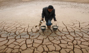 China’s Drought – Are Wheat Prices Safe?