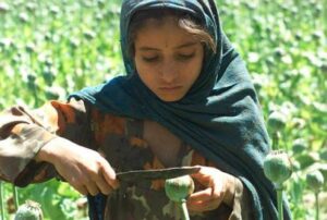 Afghanistan's Losing Battle