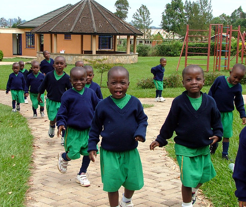 The Daily Fight For Orphans The Daily Fight For Orphans