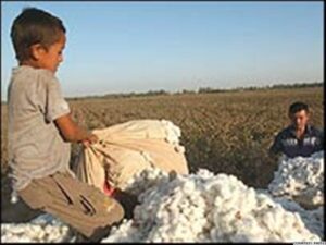 Ending Child Labor in the Cotton Feilds