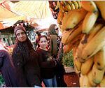 Economic Rights and the Iraqi Diaspora