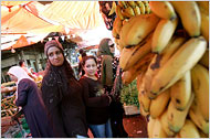 Economic Rights and the Iraqi Diaspora