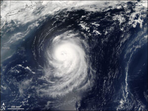 Food safety: Before, During and After Hurricane Irene