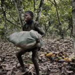 The Child Slavery Behind Your Chocolate