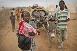 Global Food Security – Year in Review 2011