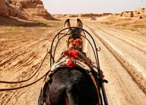 Silk Roads (plural!)