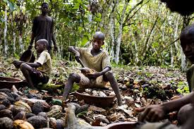 Battling Child Labor in Cocoa and Cotton Fields