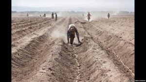 Land Grabs in Africa: Unchecked or Unfairly Villified