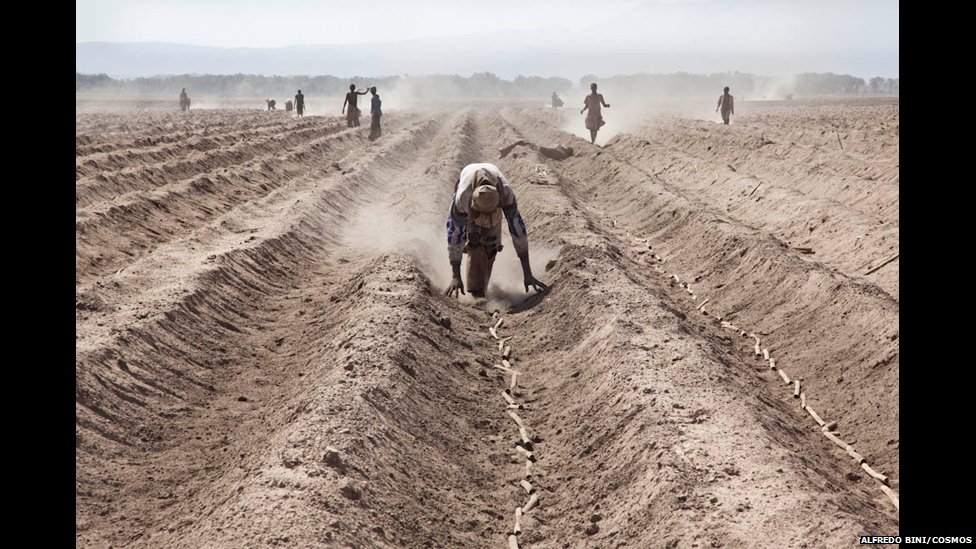 Land Grabs in Africa: Unchecked or Unfairly Villified