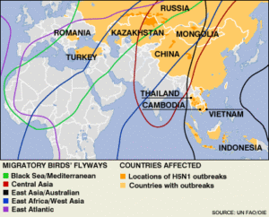 'tis Spring: Caspian Outbreak of Avian H5N1