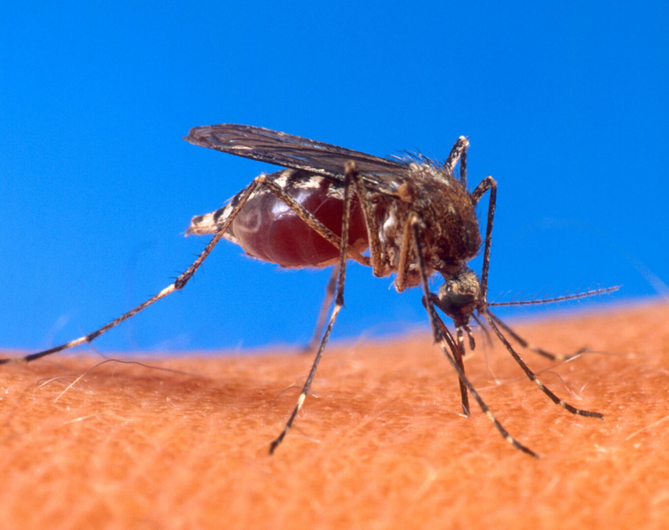 The Week in Global Health: Rating Successes Against Malaria; the Global Fund's Jaramillo 