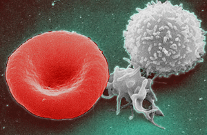 The Week in Global Health: Decrease in US Funding for NTDs; Serodiscordant Relationships