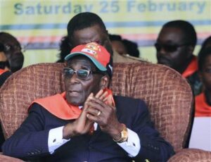 When Mugabe Goes Does The Fantasy Become a Nightmare?