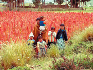 Bolivia’s Quinoa Conundrum