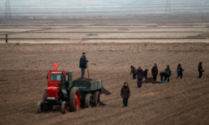 North Korean Children Suffer a State of Dire Food Security