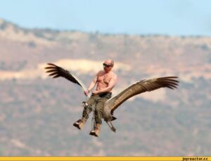 Stork Raving Mad