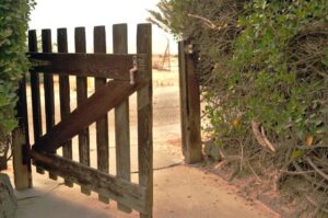 Unlocking the Gates: GlaxoSmithKline to Open Drug Trial Data