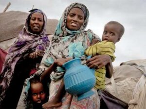 Updates on Women, Children and Human Rights from Around the Globe