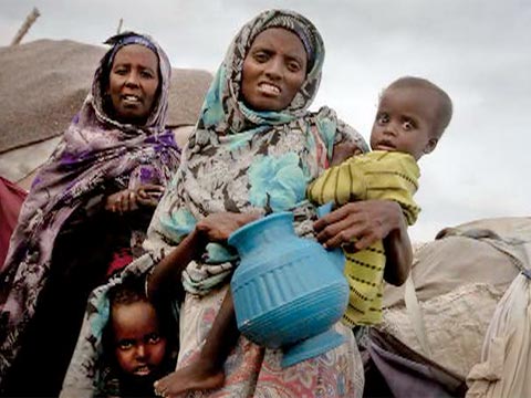 Updates on Women, Children and Human Rights from Around the Globe
