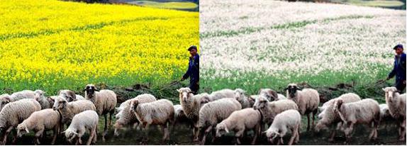 Chinese Government Site, Environmental Ministry Fall Victim to April Fool's Day Prankster Chinese Government Site, Environmental Ministry Fall Victim to April Fool's Day Prankster