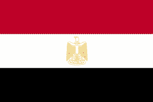 On the Ground in Egypt: Two Views from Two Egyptians