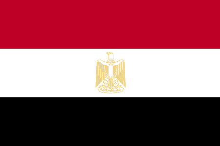 On the Ground in Egypt: Two Views from Two Egyptians
