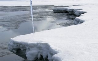 Germany to Host Arctic Conference