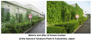 Green Curtains