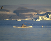 Inuit whaler. © Greenland.com