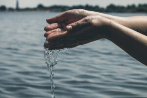 Dammed If You Do, Damned If You Don’t: Cooperation in the Nile Basin