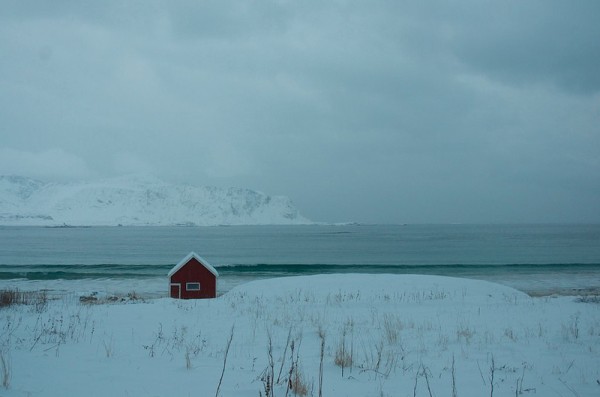 The Arctic - somebody's home. (c) Mia Bennett