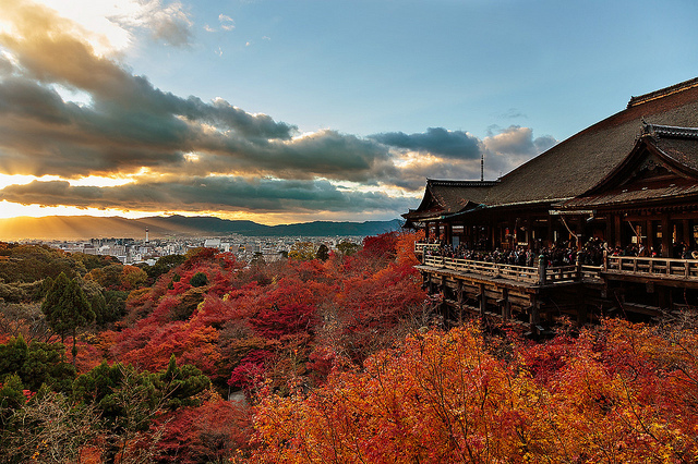 Japan, a nation that does well combining tradition with modernity, is seen as leaves change color in the fall (Photo: Chung Hu via Flickr).