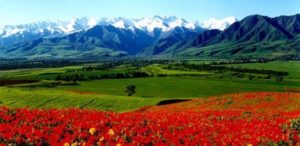 Central Asia 2008: Year in Review