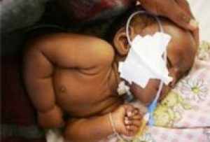 Is an End to Malaria Near?