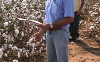 The Cotton Conflict