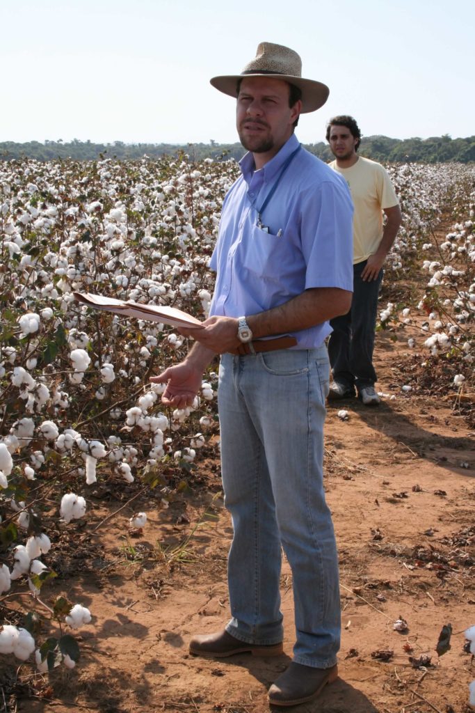 The Cotton Conflict The Cotton Conflict