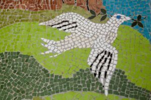 The Healthcare Dove with an Olive Branch