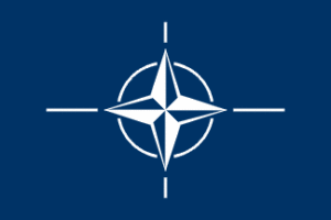 NATO Nuclear Defenses (2)