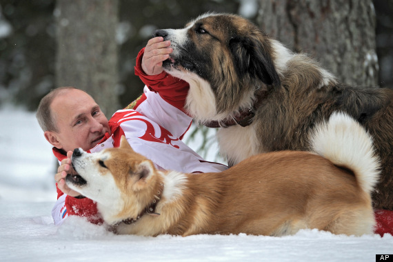 In this March 24, 2013 photo, distributed by RIA Novosti Agency on Wednesday, April 10, 2013, Russian President Vladimir Putin poses for the camera as he  plays with his dogs Yume, an Akito-Inu, front, and Buffy, a Bulgarian Shepherd in an undisclosed location of Moscow region.(AP Photo/RIA Novosti, Alexei Druzhinin, Presidential Press Service)