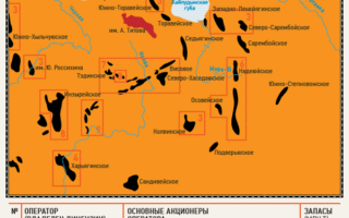 Russia's Largest Remaining Oil Deposits Sold to Bashneft