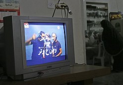 pal-tv