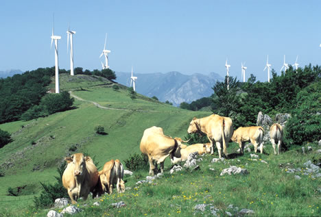Renewables – Spain, The Big Apple and China
