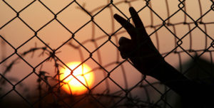 Actions Speak Louder Than Words, an Update on Israel/Palestine