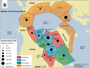 Arctic Conference on Polar Bears