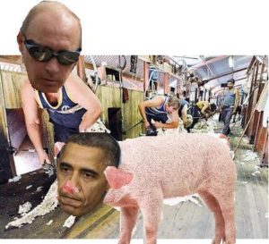 Snowden, Putin, sheared pigs and the joys of Whataboutism