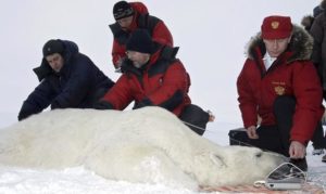 Putin's Arctic Visit: Polar Bears, Pollution, and (Border) Protection