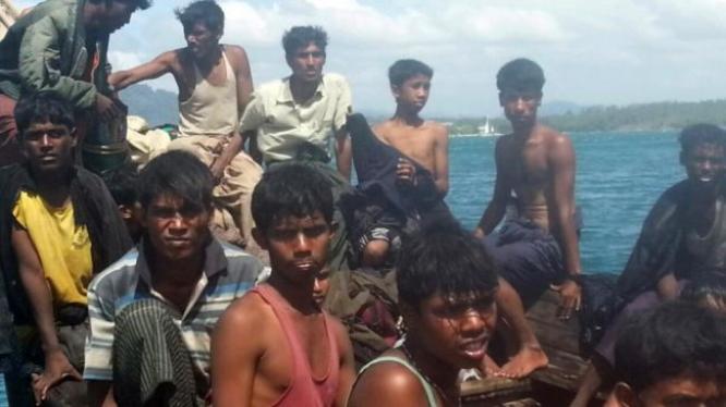 rohingya