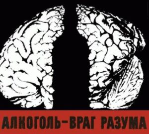Russians to Medvedev: Save Us From Ourselves!