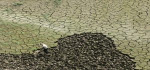 Climate Risks