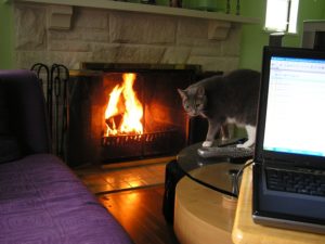 Telecommuting as a Human Rights Approach